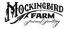 Mockingbird-Farm-Web-Logo